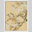 Birds Resting on Branches in Classic Asian Floral Design Illustration, affiche rustique encadrée-104788211-104788215