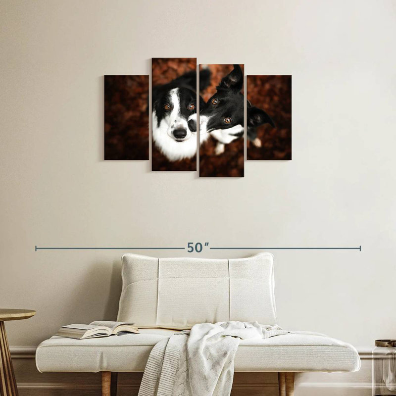 Brampt Adorable Border Collies, 22" H x 36" W