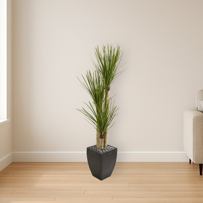 Yucca Artificial Tree in Black Planter