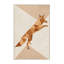 Tapis beige moelleux moelleux et moderne à motif géométrique de renard Batheaston-1849594008