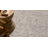 Amber Lewis x Loloi Alie Taupe / Dove Area Rug-74882839
