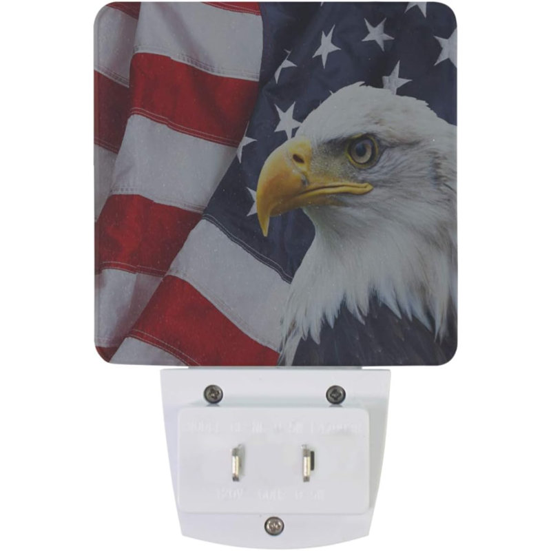 Ensemble de 2 veilleuses à DEL American Flag Eagle