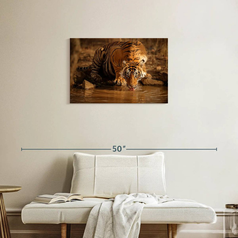Brampt Drinking Wild Tiger, 20" H x 30" W