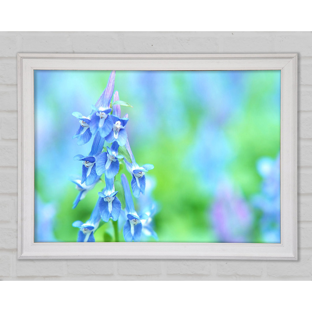 Soft Focus Kleine blaue Blumen Gerahmter Druck