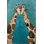 Tapis d'intérieur / extérieur bleu en polypropylène tissé à la machine salesin