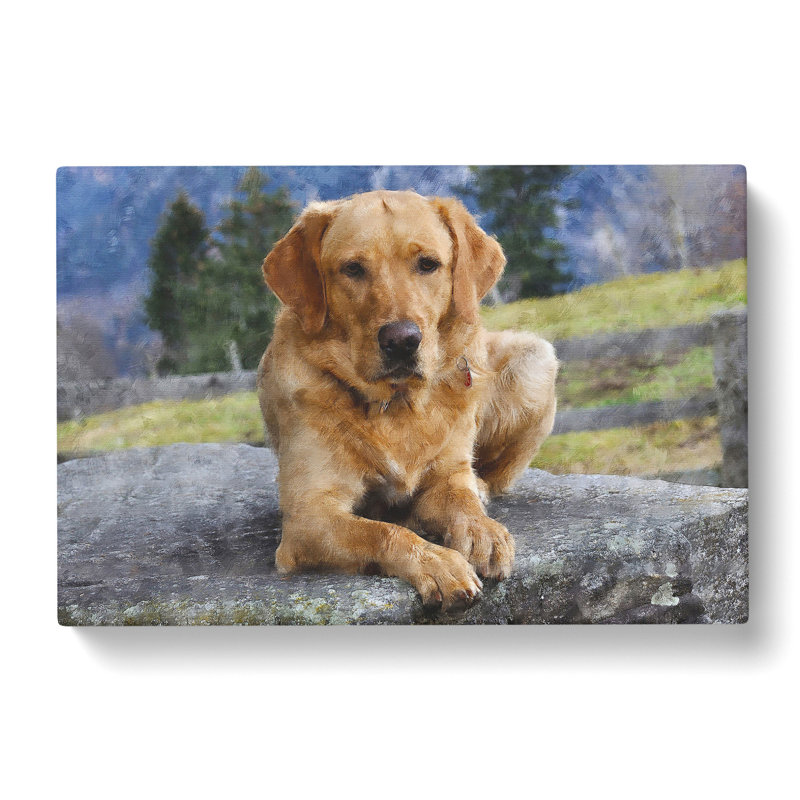 Golden Labrador Dog Vol.2 - Wrapped Canvas Print, 50cm H x 76cm W x 3cm D
