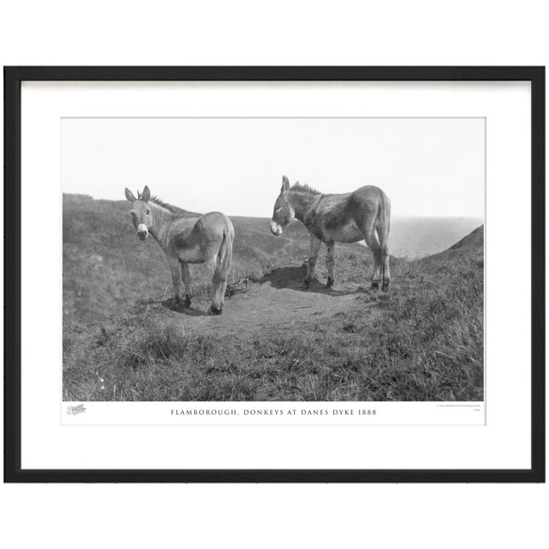 Flamborough, Donkeys at Danes Dyke 1888 1 Piece Single Picture Frame Wall Art, 28cm H x 36cm W x 2.3cm D