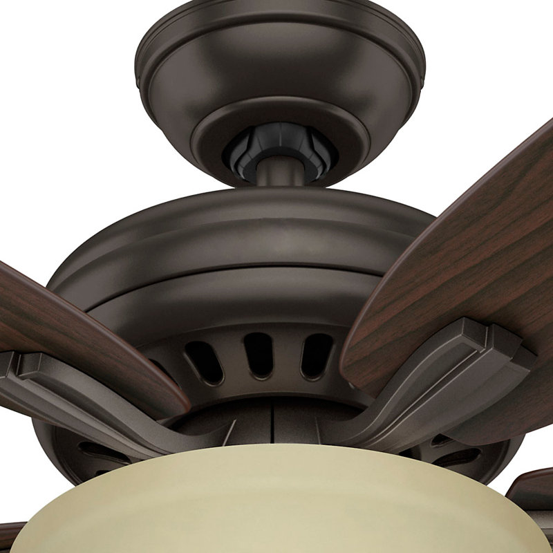 52" Newsome 5 - Blade Standard Ceiling Fan with Pull Chain and Light Kit Included, Matte Black