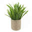40cm Faux Fern Plant in Pot Liner