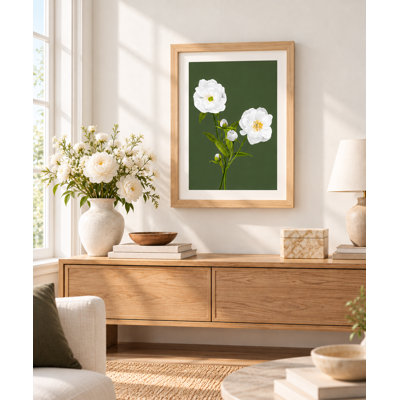 Plants & Flowers