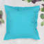 Indoor-Outdoor Cushion-309753633