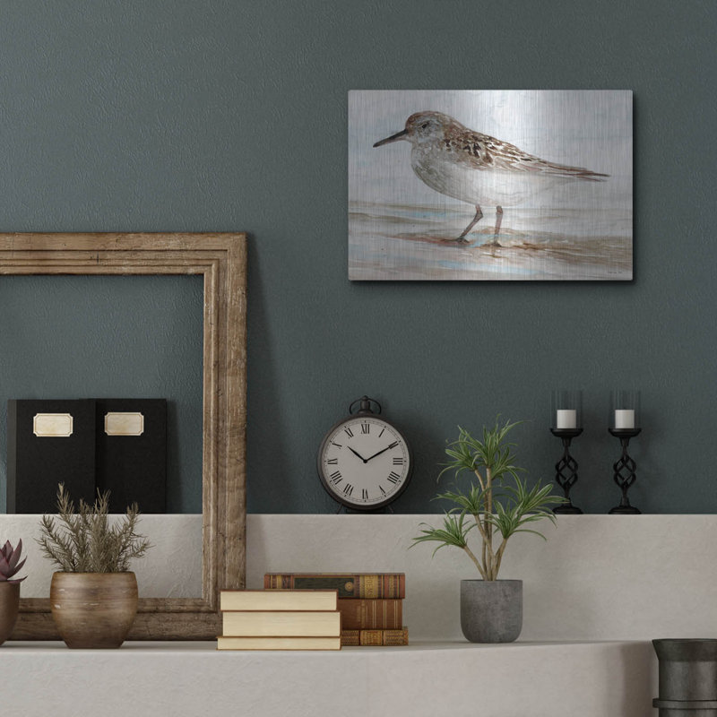  «Sanibel Piper 1» par Stellar Design Studio, art mural en métal, 16 po x 12 po, H 12 po x l 16 po