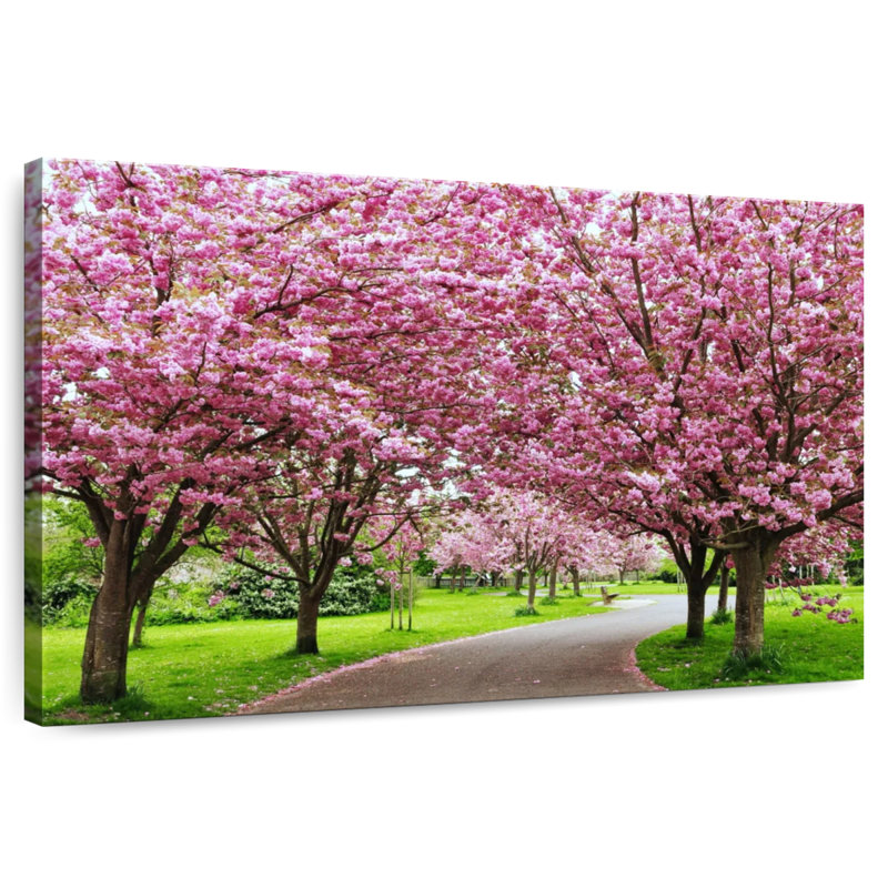 Chemin de jardin Harnek Cherry Blossom, H 34 po x l 51 po