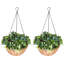 60 cm H Faux Plant