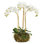Conservatory Orchid Faux Floral