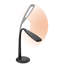 Lampe de bureau 13,5 po
