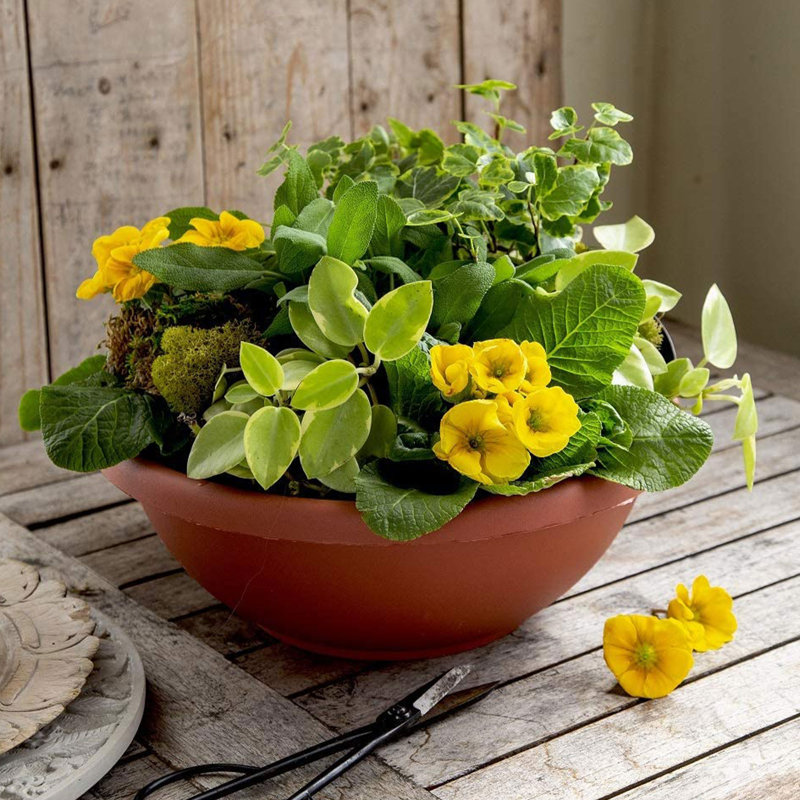 Sehjal Pot Planter, 2