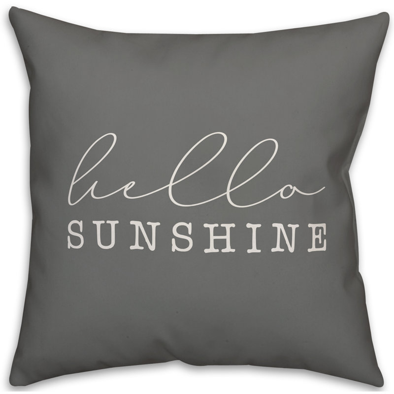  Square Pillow Cover & Insert, Gray/White, 18" x 18"