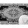 Modern Hand Carved Traditional Oriental Medallion Rug For Living Room Bedroom