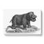 Hippopotamus in Black and White by George Shaw - Wrapped Canvas-55360032
