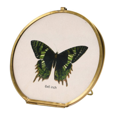 Lily May Gold Metal Picture Frame