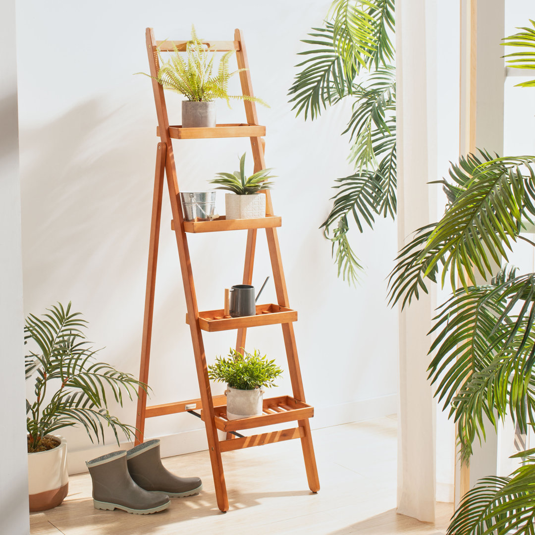 Outdoor Upper Strode Rectangular Etagere Eucalyptus Plant Stand