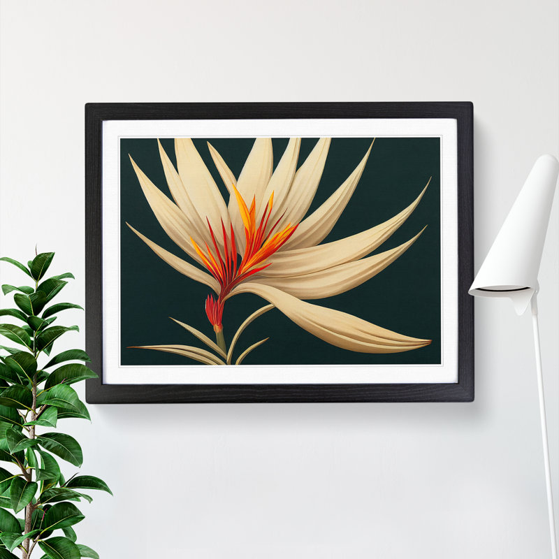 XH1022-8893X The Bird Of Paradise Flower Vol.4 1 Piece Single Picture Frame Wall Art, 25cm H x 34cm W x 2cm D, Black Framed
