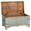 Breandrea Accent Trunk