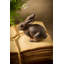 Lapin de lapin en fonte Tignall