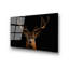 Boze Print on Glass