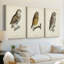 French Owls I - Toile tendue avec châssis sur mesure - 3 pièces-851566845