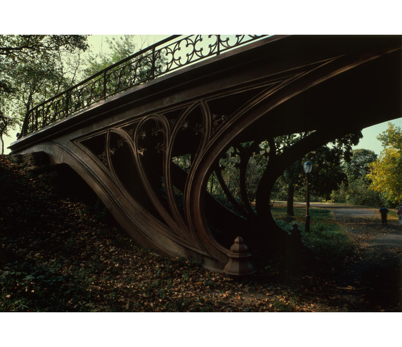 Pont Cetral Park, New York, H 17 po x l 24 po