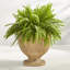 Pot à fleurs Jacqueline Fiberstone-1060727145
