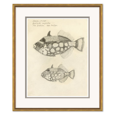 Odd Fish Giclee Print by Marcel Bourgeois