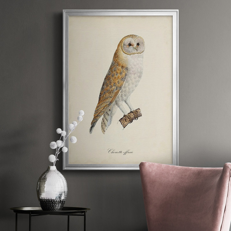 French Owls VI, reproduction encadrée sur papier, H 36,5 po x l 26,5 po x P 1 po, Argent