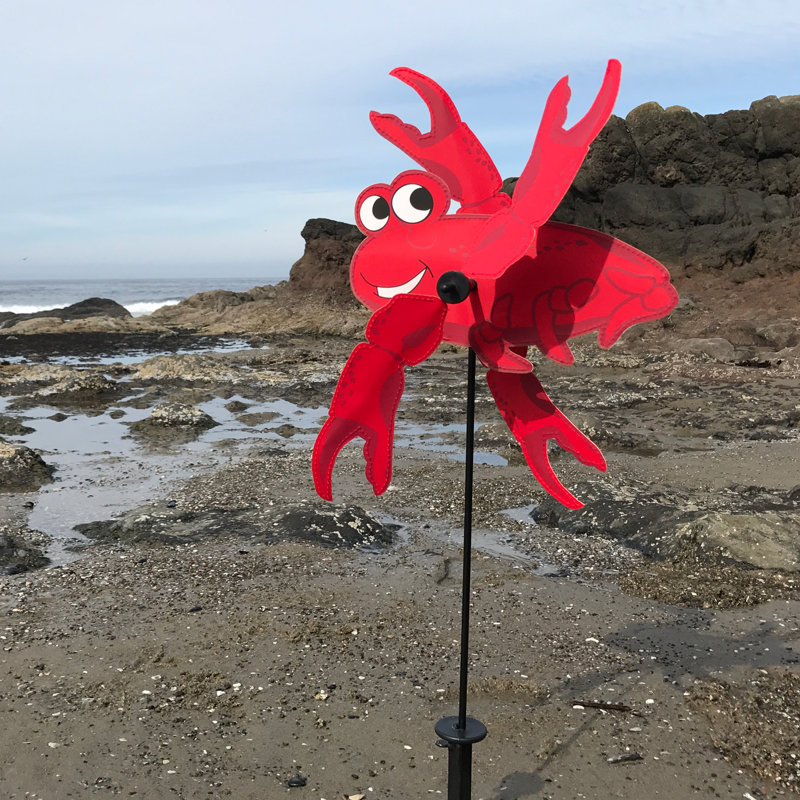 Crabe bébé tourbillon