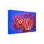 «Finding Nemo» par Wendy, reproduction de photo sur toile tendue-533103195