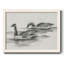 Geese Study II - Impression sur toile tendue-96283869-96283872
