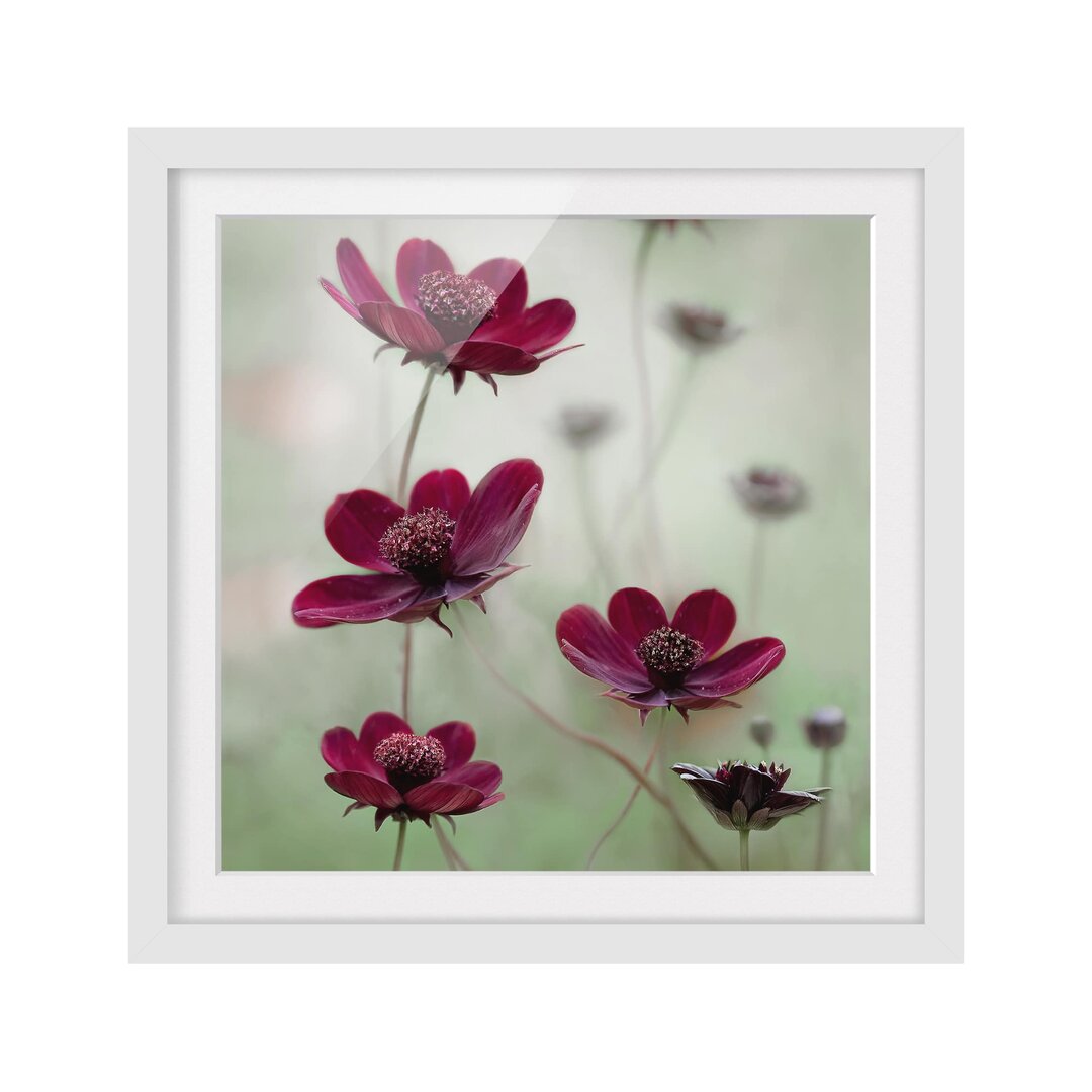 Gerahmtes Poster Pink Flowers