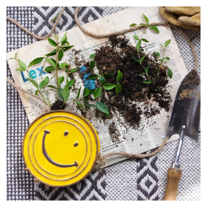 Happy Face Hanging Planter, Pink