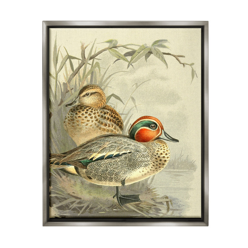 «Ducks with Pond Botanicals», art mural sur toile flottante par Gail Fraser, Cadre flottant gris lustré, H 21 po x l 17 po