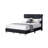Kailyn Upholstered Sleigh Bed-660279754-660279755