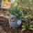 Riegel Ceramic Statue Planter