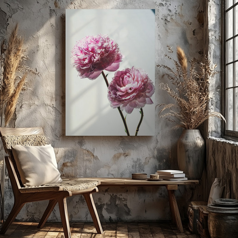 Toile, composition sereine mettant en vedette deux pivoines roses douces délicates avec art mural, pétales légèrement recourbés sur fond blanc
