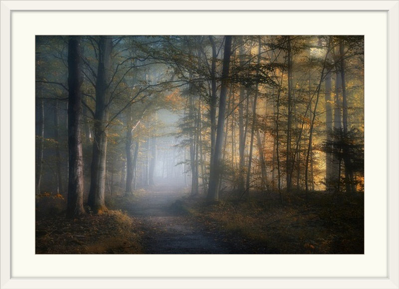 «Straub Autumn Symphony» par Norbert Maier - photographie, Cadre blanc, H 28 po x l 38 po x P 1 po