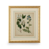 Cottage Florals I Print