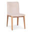 Modern Brazilian - Godan Side Chair-1690394051