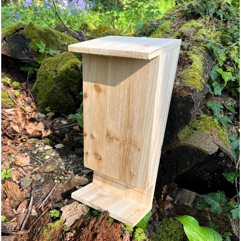 Izaguirre Mounted Bat House