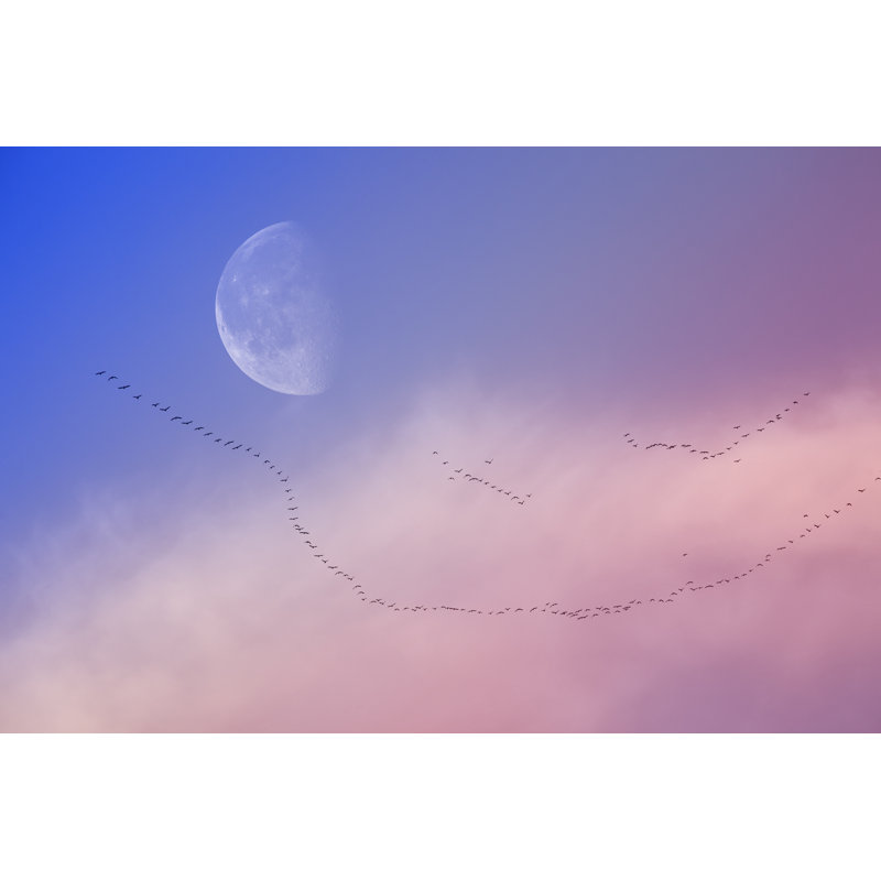 Romantic Sky by Asli Cetin - Wrapped Canvas Print, 51cm H x 76cm W x 3.8cm D