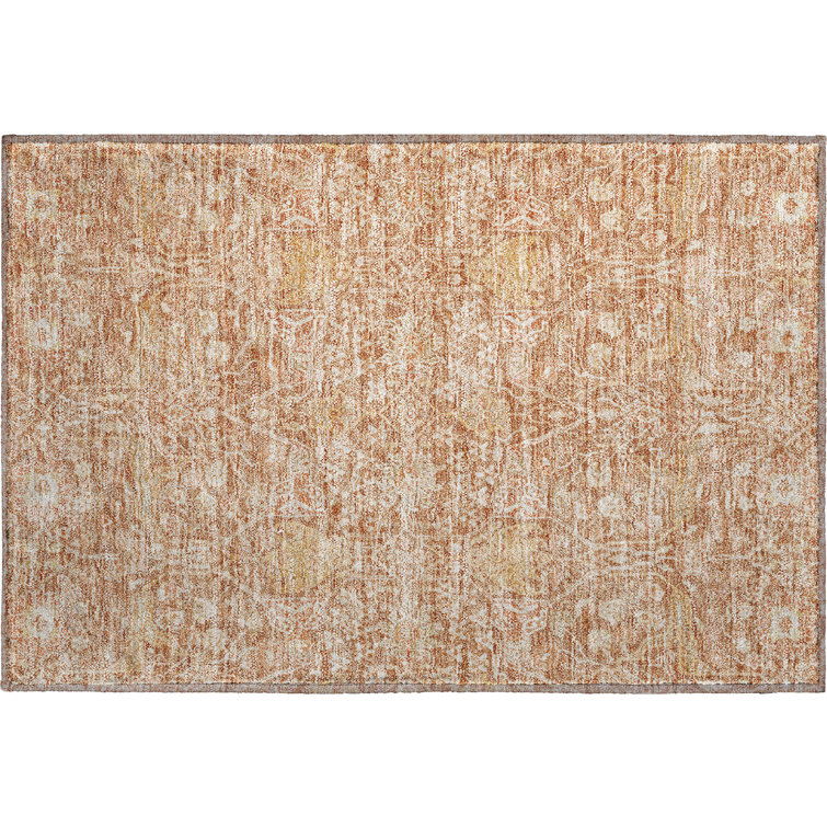 Premium Machine Washable Ducote AMF1133 Global Rug
